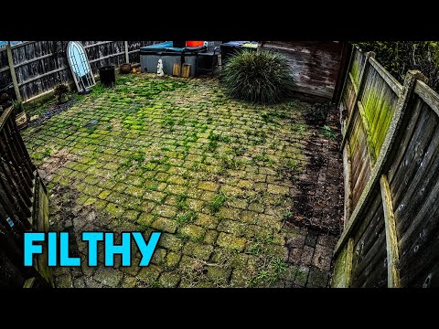 Видео: Мы моем под давлением это ОЧЕНЬ заросшее сорняками патио в режиме реального времени *ASMR*
