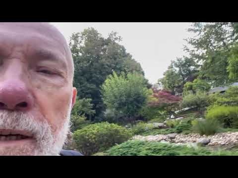 Видео: Венский и Киевский парки Киото