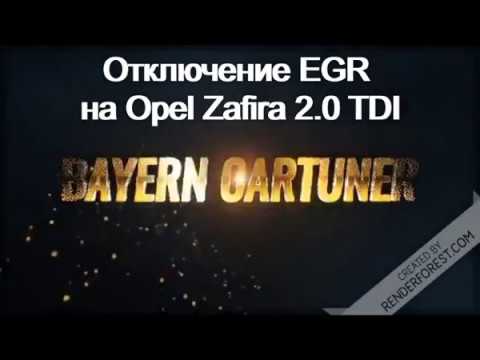 Видео: Отключение EGR на Opel Zafira 2 0 TDI