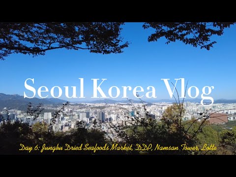 Видео: Сеул Корея День 6 / Seoul Korea Day 6