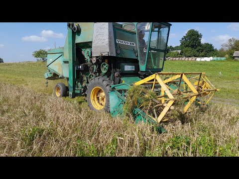 Видео: Молотим зерно.Комбайн  VOLVO BM.