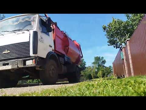 Видео: Сборка Мусора в д. Гвоздово август 2025