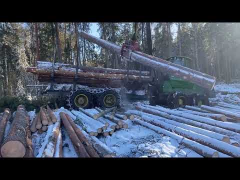 Видео: 18 марта 2025 г.