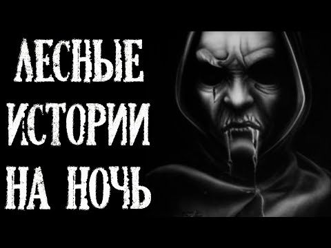 Видео: Лесные истории на ночь. Лесная мистика (4в1)