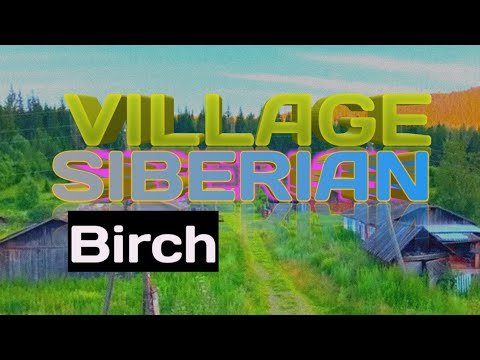 Видео: п. Березовая / Балахтинский район / ЗАБРОШЕННАЯ МЕСТНОСТЬ В КОТОРОЙ ОСТАЛОСЬ 5 человек! Часть 1