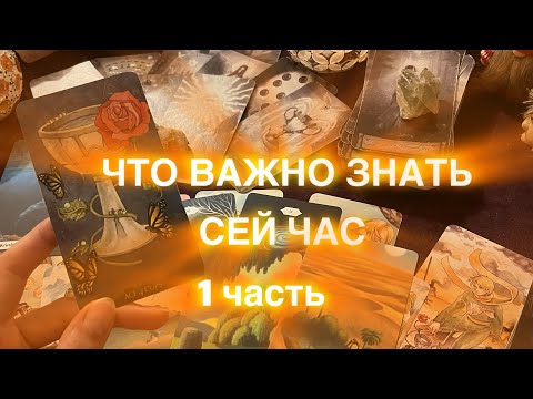 Видео: ЧТО ВАЖНО ЗНАТЬ СЕЙ❣️ЧАС  ❤️первая часть 
