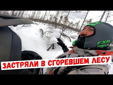 Видео: Как выбраться из горелого леса: Руководство на снегоходе .