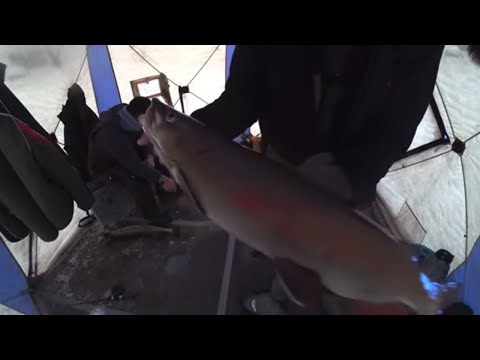 Видео: ОДНАЖДЫ МЫ ПОЕХАЛИ НА ДАЛЬНЯК!!! ТАК РЫБАЧАТ В ЯКУТИИ!!!