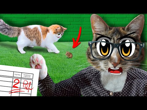 Видео: ШКОЛА КОТОВ: КОНТРОЛЬНАЯ РАБОТА! ЧЕЛЛЕНДЖ НАЙДИ МЫШЬ для КОТЁНОКА ЮГИ! ЕСЛИ БЫ КОТИКИ ХОДИЛИ В ШКОЛУ