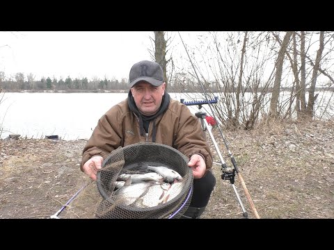 Видео: Зачарована весняна Десна.У пошуку серебра