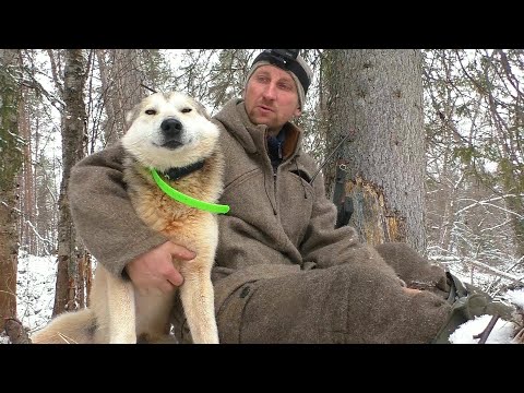 Видео: Найти медведя. Один в тайге. Поход в разведку. Ночь у костра.