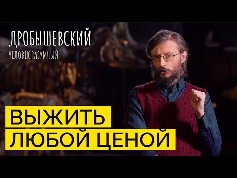 Видео: Как человек научился адаптироваться ко всему? // Дробышевский. Человек разумный