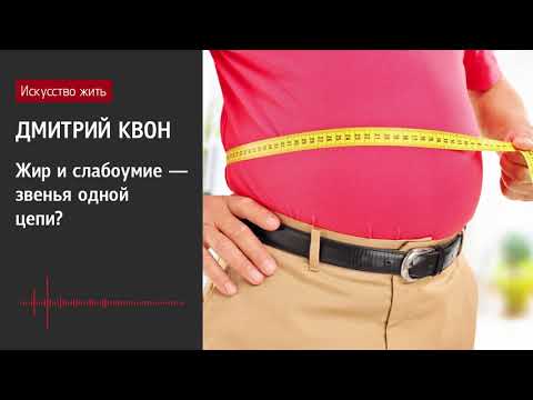 Видео: Дмитрий Квон: Жир и слабоумие - звенья одной цепи?