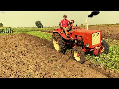 Видео: Не дискую,а орю цілину! 40-ка річний Т25 старався🚜🚜🚜🇺🇦🇺🇦🇺🇦