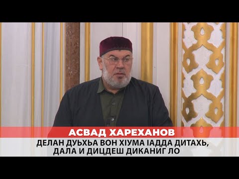 Видео: Асвад - Делан дуьхьа вон хlума lадда дитахь, Дала и дицдеш диканиг ло