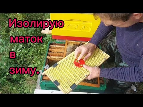 Видео: Изолирую маток в зиму, 21 октября 2024г.