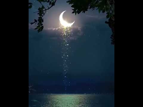 Видео: ЫРААЗЫЧЫЛЫК МЕДИТАЦИЯСЫ