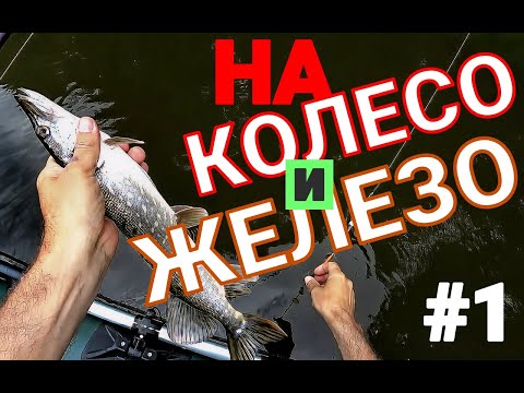 Видео: Душевная рыбалка на простую снасть. ИНЕРЦИОННАЯ КАТУШКА НЕЛЬМА, вертушки и колебалки.