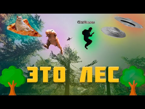 Видео: Трое в лесу, не считая Тимми (The Forest)