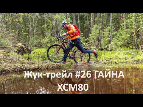 Видео: Жук-трейл #26 ГАЙНА ХСМ80