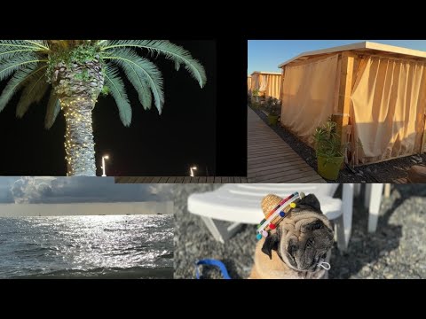 Видео: Море, солнце, Сочи!🌴🌞❤️