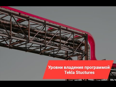 Видео: Уровни владения программой Tekla Structures|От новичка до профи