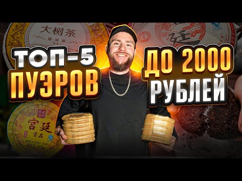 Видео: Лучшие шу пуэры до 2000 рублей для бодрости духа и тела | Чайная мастерская — лучший китайский чай