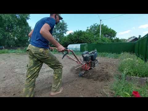 Видео: //Все буде🇺🇦Викопали часник,фрезуєм під столовий буряк,спека😭,Дівчата в басейні,дякуючи ЗСУ🇺🇦💪//