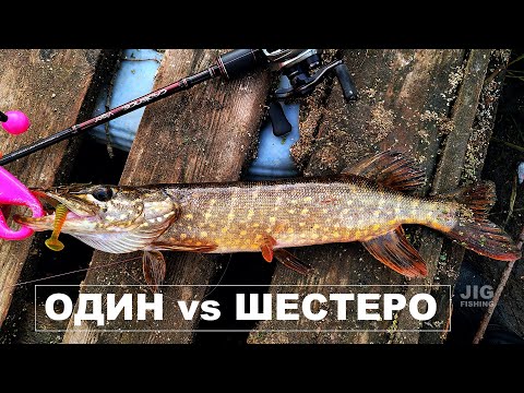 Видео: РЫБЫ НЕТ СКАЗАЛИ ОНИ... Ловим щуку с CADENCE VIGOR против 6-х рыбаков!