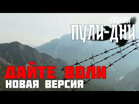 Видео: Группа Пули Дни   Дайте воли новая версия