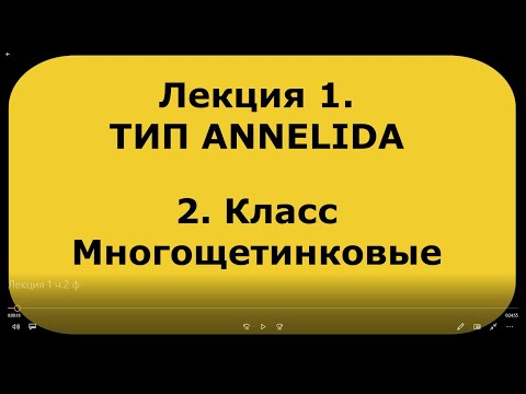 Видео: Зоология беспозвоночных. Курс лекций. Лекция 1. ч. 2