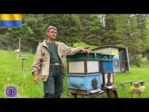 Видео: Облітник Ростока старт 2025р