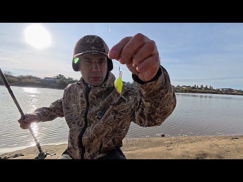 Видео: Сегодня Я поймал Судака на вот эти вот приманки