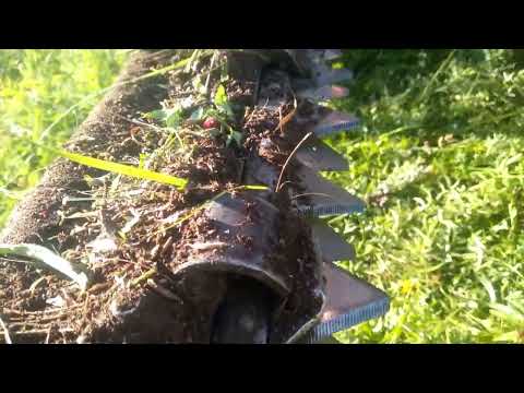 Видео: Сенокос 2022. Промежуточные результаты сезона. Косим.