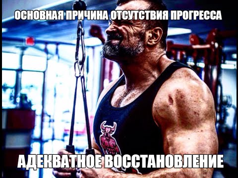 Видео: ОСНОВНАЯ ПРИЧИНА ОТСУТСТВИЯ ПРОГРЕССА в ТРЕНИНГЕ - ПОЧЕМУ НЕ РАСТЕТ МАССА и НЕ СЖИГАЮТСЯ ЖИРЫ