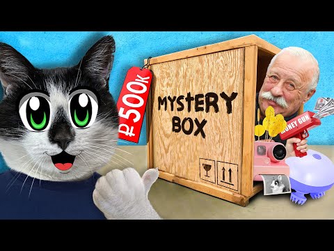 Видео: КУПИЛИ MYSTERY BOX! ЧТО ВНУТРИ? РАСПАКОВКА ЧЕЛЛЕНДЖ от А ну-ка Давай-ка
