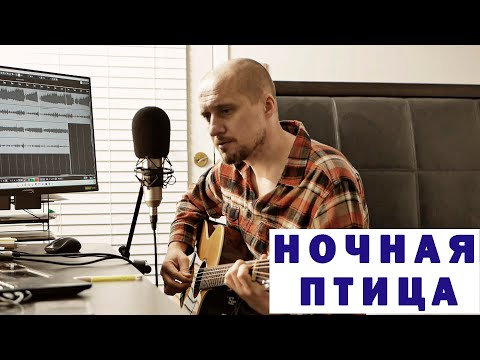 Видео: Ночная птица - Воскресение (кавер) #подгитару #ночнаяптица #воскресение  #никольский #тимкотимофей
