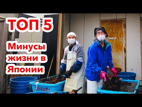 Видео: ТОП 5 МИНУСОВ: Не идеальная страна Япония!