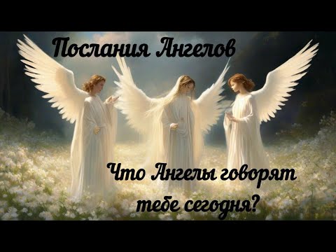 Видео: Послания Ангелов. Ангелы посылают тебе знаки и подсказки. Узнай что они говорят тебе сегодня.