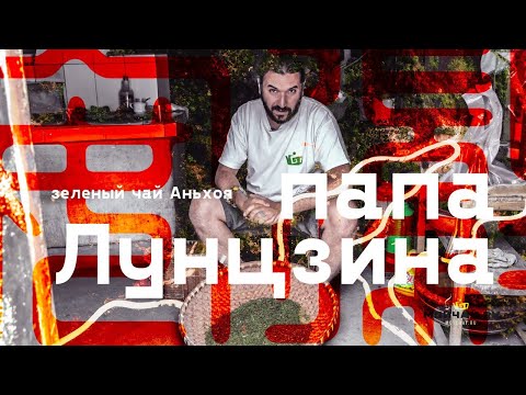 Видео: Зеленый Чай. Прародитель Колодца Дракона - Дингу Дафан и Тайпин Хоукуй