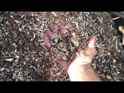 Видео: Пробне подрібнення після вдосконалення щепоріза shkiw 130tr pro