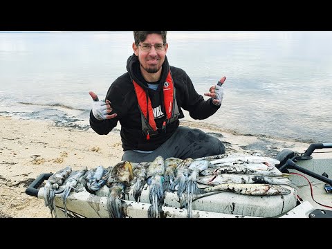Видео: ЛОВЛЯ КАЛЬМАРОВ ДЛЯ НАЧИНАЮЩИХ