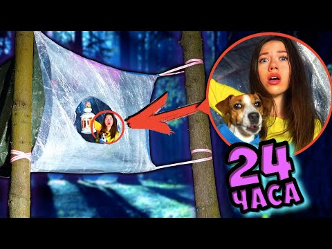 Видео: ВСЕ ДОМИКИ из ПЛЕНКИ на ДЕРЕВЕ от Элли Ди | Elli Di