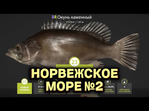 Видео: Русская Рыбалка 4   Норвежское море часть 2