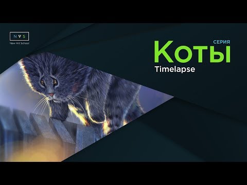 Видео: Как нарисовать грустного кота за 5 чаов на Ipad