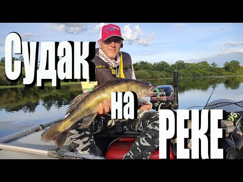 Видео: Судак на реке/Джиг на реке/Рыбалка в Беларуси