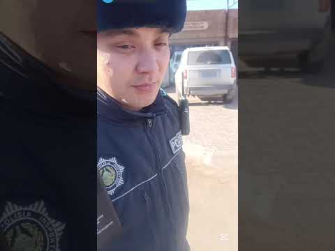 Видео: ҚЫТАЙЛАР САТЛАТЫН ЖЕР ІЗДЕП ЖҮР / МАСҚАРА 