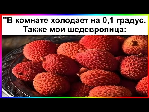 Видео: тик ток замëрз | подборка мемов