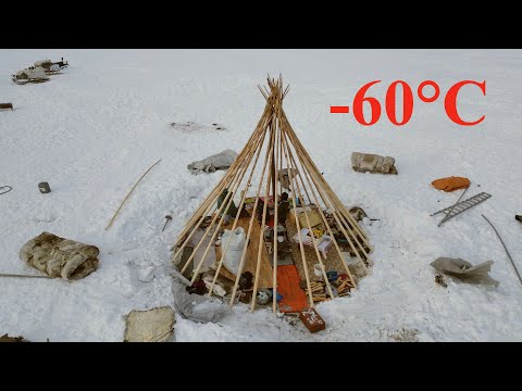 Видео: Жизнь на краю земли далеко на Крайнем Севере. Как живут кочевники- оленеводы в лесотундре?