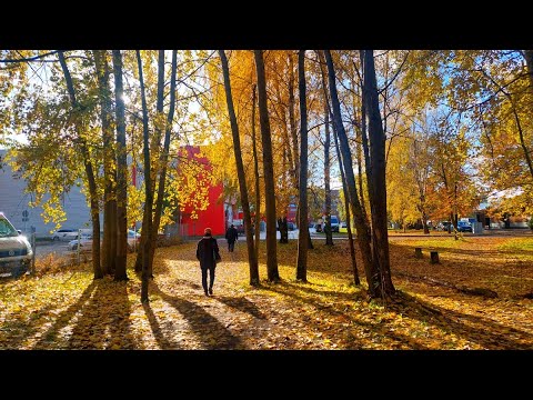 Видео: небольшой влог о приятно проведённом дне